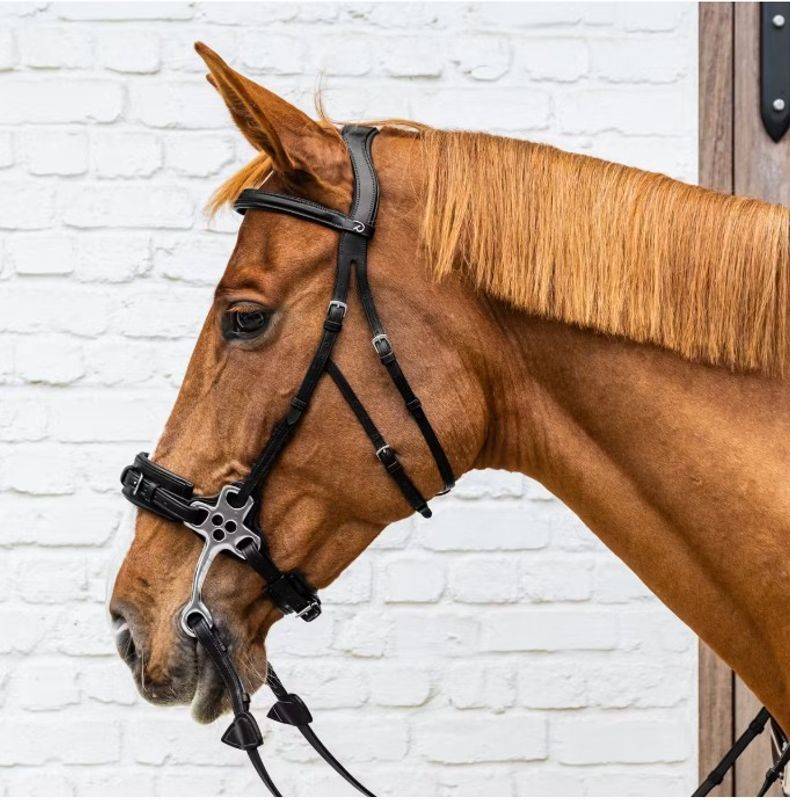 Dyon Hackamore Hodelag - New English 