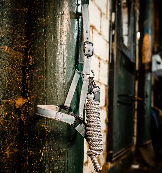 Hovedbilde Horseware Newmarket Grime & Leietu - Witney ...