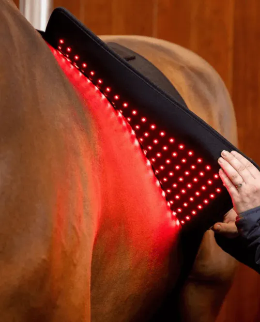 Hovedbilde Horseware Led Red Light Pad 