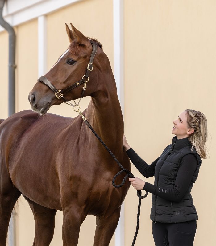 Waldhausen Royal S-Line Lærgrime