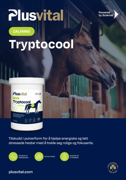 Hovedbilde Plusvital Tryptocool