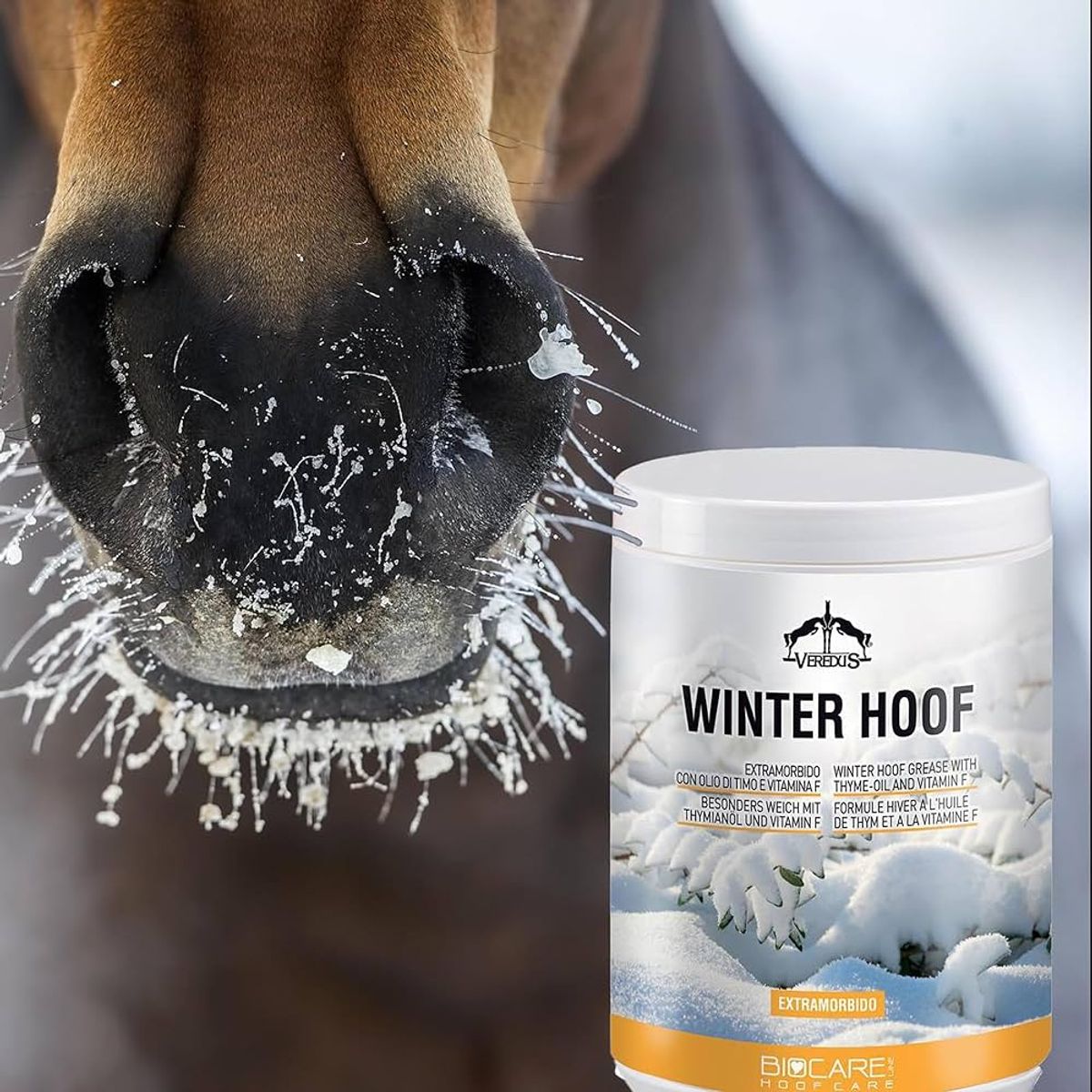 Veredus Winter Hoof Salve