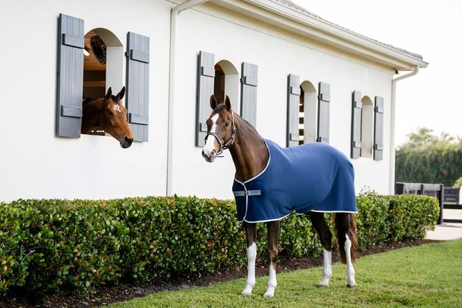Hovedbilde Amigo Jersey Cooler 