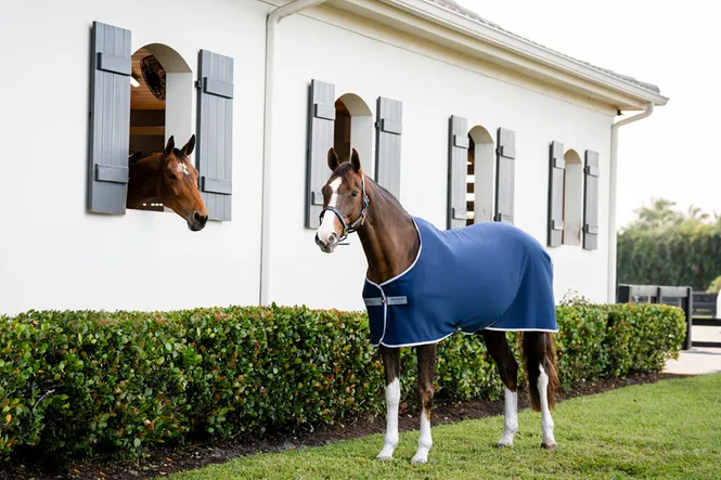 Hovedbilde LSRK Amigo Jersey Cooler 