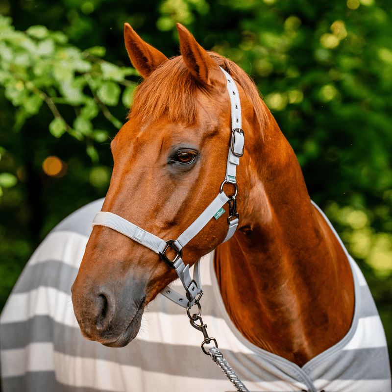 Horseware Newmarket Grime & Leietu - Witney Charcoal