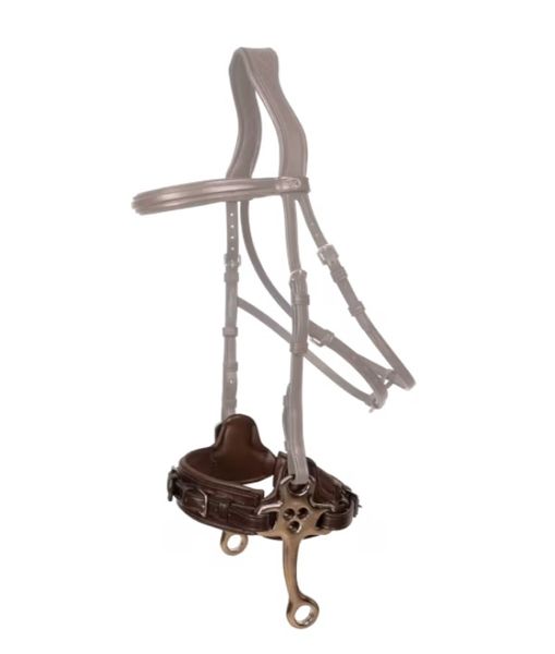 Hovedbilde Dyon Hackamore